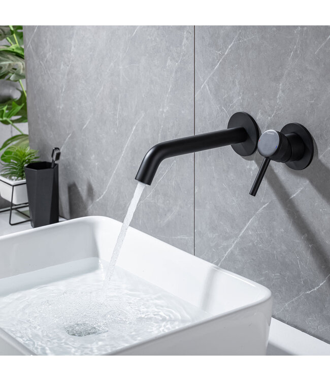 Wastafelkraan Amore Inbouw Mat Zwart Mengkraan Rond 1 Greeps