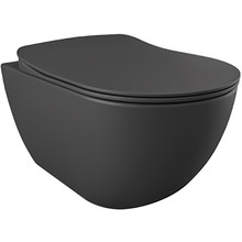 Creavit FE322 Randloos Hangtoilet met Bidet Mat Antraciet met softclose toiletbril 51x35,5x29cm