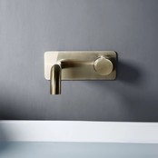 Wastafelkraan inbouw Vanity Geborsteld Goud Wandkraan Rond 2-gats met muurplaat