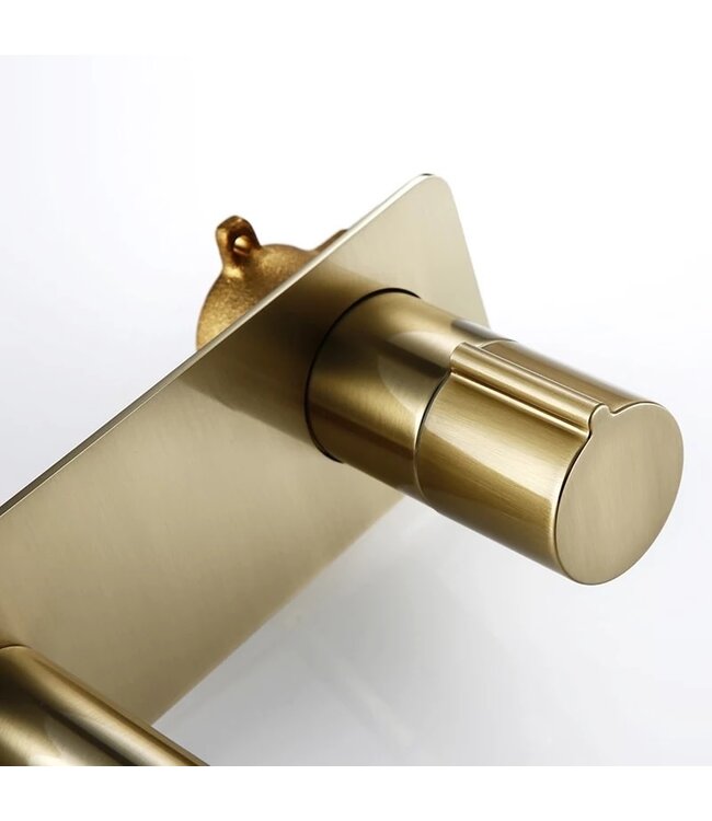 Wastafelkraan inbouw Vanity Geborsteld Goud Wandkraan Rond 2-gats met muurplaat