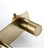 Wastafelkraan inbouw Vanity Geborsteld Goud Wandkraan Rond 2-gats met muurplaat