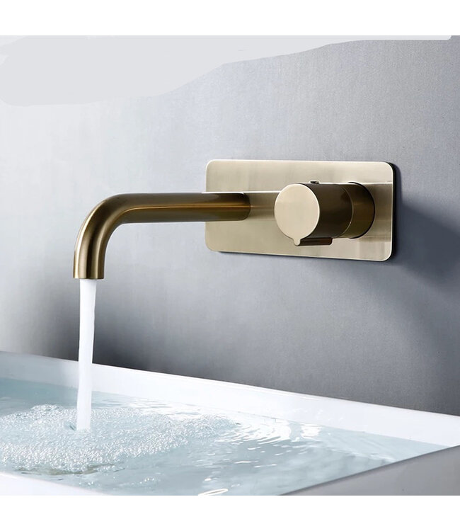 Wastafelkraan inbouw Vanity Geborsteld Goud Wandkraan Rond 2-gats met muurplaat