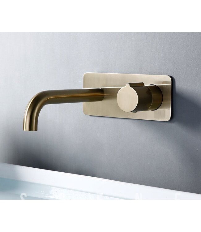 Wastafelkraan inbouw Vanity Geborsteld Goud Wandkraan Rond 2-gats met muurplaat