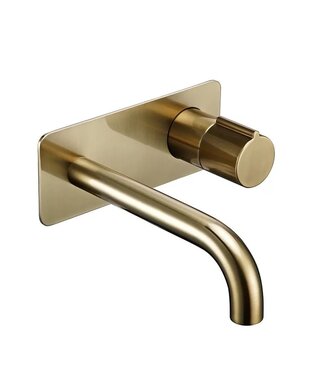 SANI-SUPPLY Wastafelkraan inbouw Vanity Geborsteld Goud Wandkraan Rond 2-gats met muurplaat