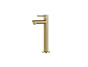 Fonteinkraan Effeze Hoog Geborsteld Goud 30cm