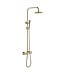 ALONI Regendoucheset Mila Geborsteld Goud Rond Opbouw Thermostatisch Hoofddouche 20 cm