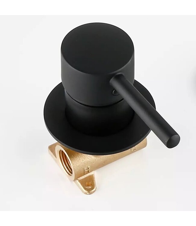 Omstelkraan Zwart inbouw Bidetkraan mat zwart warm en koud tbv bidettoilet Douchewc bidetdouche