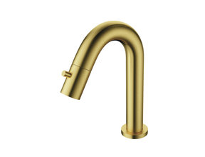 Fontein kraan Mila Geborsteld Goud Exclusive Opbouw 1/2'