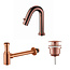 ALONI Fonteinkraan set Mila geborsteld Goud Toiletkraan + Sifon + Clickwaste