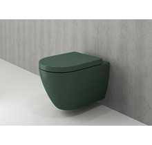 Hangtoilet Venezia Randloos Mat Groen 57x36x35cm excl. Toiletbril