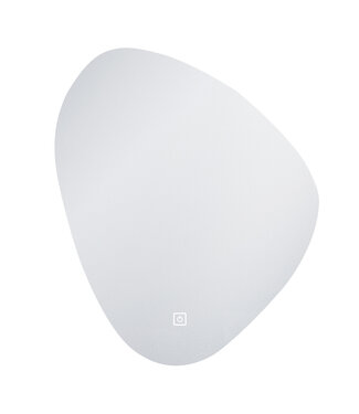 FABRIECIO Ovaal spiegel Leipzig 120x120cm met Dimbare Led-Verlichting en Verwarming Touche bediening