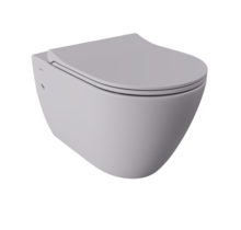 Hangtoilet Venezia Randloos Mat Grijs 57x36x35cm