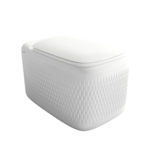 Bocchi Randloos Hangtoilet Design New Age Wit 54x36x33cm