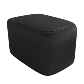 Bocchi Randloos Hangtoilet Design New Age Mat Antraciet 54x36x33cm