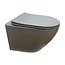 FABRIECIO Hangtoilet Compact Mechelen Randloos Mat Grijs incl.toiletbril Softclose 49cm