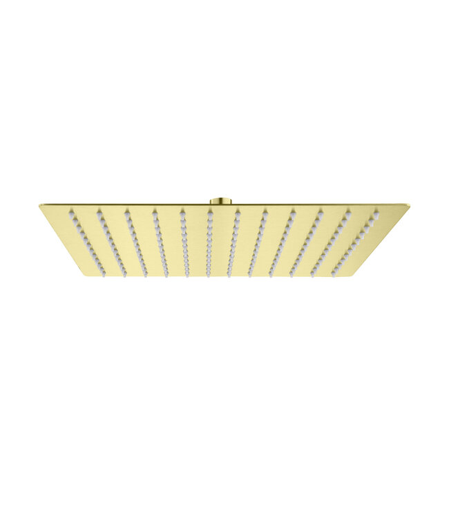 Hoofddouche Mila Geborsteld Goud 30cm Rond Regendouchekop met rubbere sproeimondjes roestvrij
