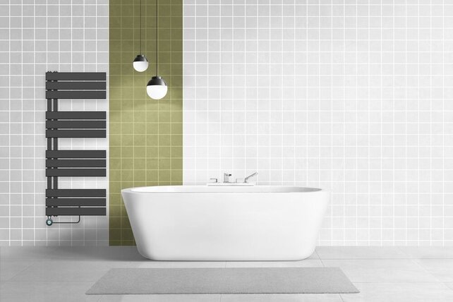 Elektrische Handdoekradiator BUC Wit 160x50 cm 755 Watt