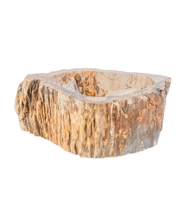 ALONI Waskom Fossiel hout Eroso Rond Bruin Versteend hout 35x15cm