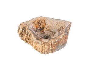 Waskom Fossiel hout Eroso Rond Bruin Versteend hout 35x15cm