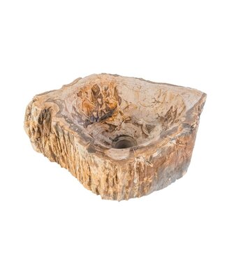 ALONI Waskom Fossiel hout Eroso Rond Bruin Versteend hout 35x15cm