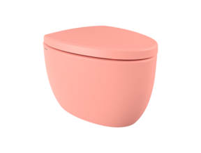 Hangtoilet Bocchi Etna Mat Zalm design toilet 54cm excl. zitting
