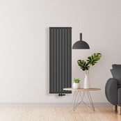 Desingradiator Verticaal BUS Zwart 180x53 cm 1975 Watt Dubbelzijdig Midden aansluiting