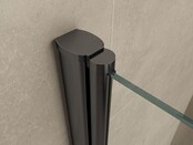 Wiesbaden Salone Douchecabine 100x100x200cm Zwart Vierkant Draaideur 8 mm helder glas met nano-coating