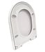 Wc bril Arco soft-close closetzitting wit Duroplast