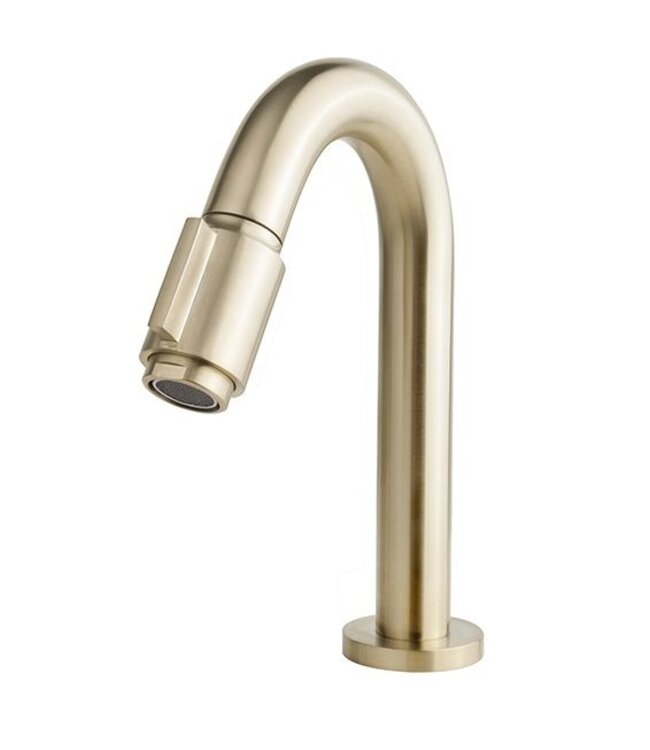 Fonteinset Toilet Leto Carrara met Mat Goud - 33x29x11 cm - Marmerlook