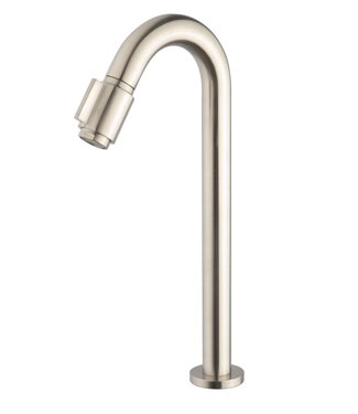 Wiesbaden Wiesbaden Victoria luxe fonteinkraan geborsteld staal XL 1/2"