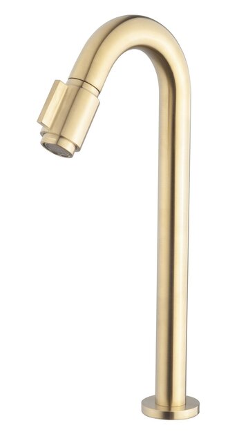 Wiesbaden Victoria luxe fonteinkraan geborsteld Messing XL 1/2"