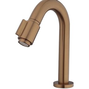 Wiesbaden Victoria luxe fonteinkraan geborsteld Brons Koper 1/2''