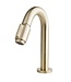 Wiesbaden Victoria luxe fonteinkraan geborsteld Messing 1/2''