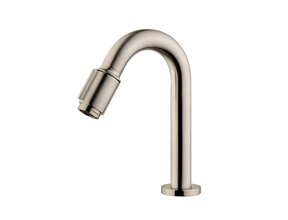 Wiesbaden Victoria luxe fonteinkraan geborsteld Staal 1/2''