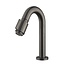Wiesbaden Wiesbaden Victoria luxe fonteinkraan Gun metal 1/2''