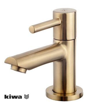 Wiesbaden Wiesbaden Amador fonteinkraan Geborsteld Messing met Kiwa keurmerk 1/2"