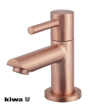 Wiesbaden Wiesbaden Amador fonteinkraan Geborsteld Koper met Kiwa keurmerk 1/2"