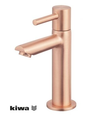 Wiesbaden Wiesbaden Amador XL fonteinkraan Geborsteld Koper met Kiwa keurmerk 1/2"