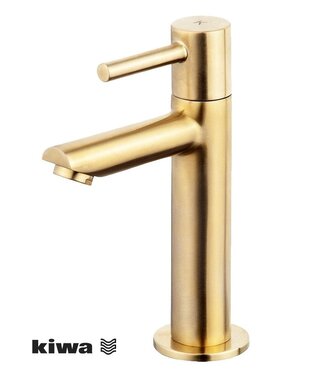 Wiesbaden Wiesbaden Amador XL fonteinkraan Geborsteld Messing met Kiwa keurmerk 1/2"