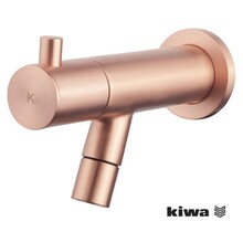 Wiesbaden Amador Inbouw fonteinkraan Geborsteld Koper KIWA-keur - 22.6722