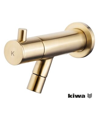 Wiesbaden Wiesbaden Amador Inbouw fonteinkraan Geborsteld Messing KIWA-keur - 22.5722