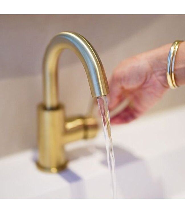 Wiesbaden Caral wastafelkraan Geborsteld Messing draaibaar uitloop rond - 29.5114