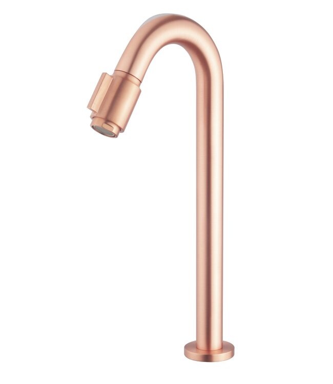 Parro Mini Toilet Fonteinset Victoria Geborsteld Koper met Handdoekhouder hardsteen waskom 40x22x8cm