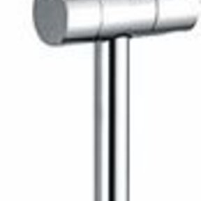 Douchestang Caral glijstang met handdouchehouder - 29.3840