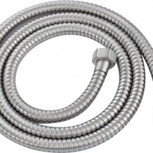 Doucheslang Caral 304-RVS 150cm - 24.3807