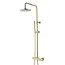 SANI-SUPPLY Opbouw Doucheset met thermostaatkraan Effeze Geborsteld Goud regendouche 30cm
