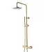 Opbouw Doucheset met thermostaatkraan Effeze Geborsteld Goud regendouche 30cm