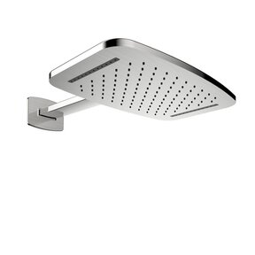 Wiesbaden Waterval Regendouche douchekop met douchearm 40x25 cm geborsteld staal - 29.2855