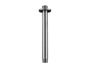 Wiesbaden 304 Douchearm Plafondbevestiging RVS rond 20cm - 24.3810