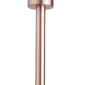 Wiesbaden Caral Douchearm Plafondbevestiging Geborsteld Koper rond 20cm - 29.6810